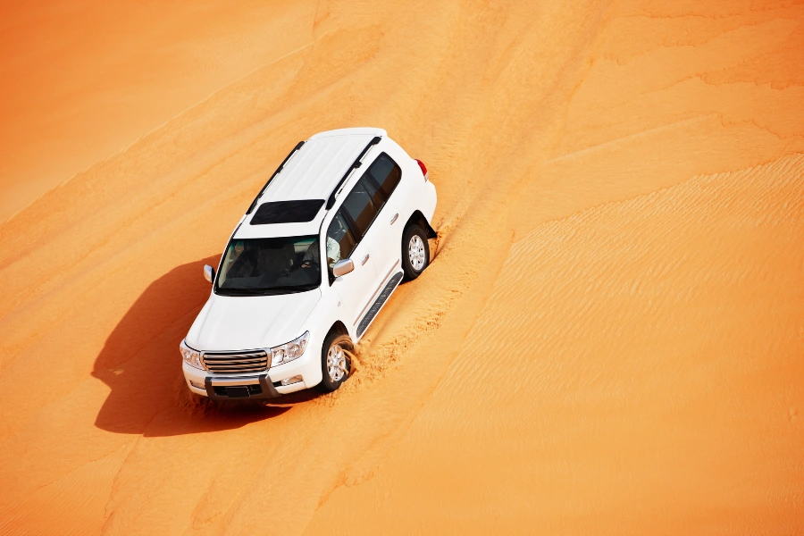 dubai-turlar-col-safarisi