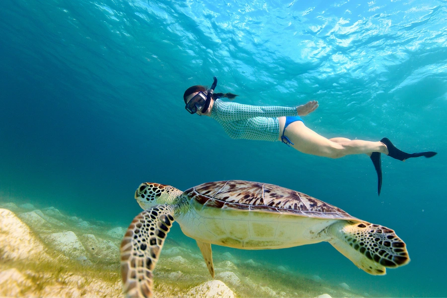 snorkel-turu-1